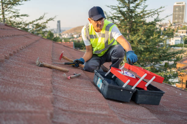 Best Storm Damage Siding Repair  in Moapa Valley, NV